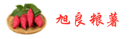 青岛旭良粮薯专业合作社