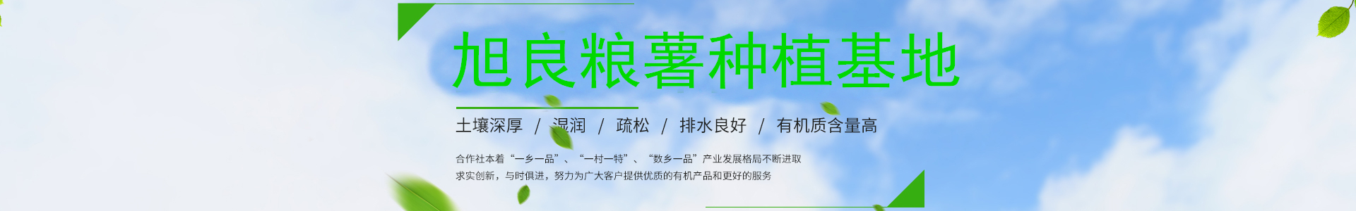 青岛旭良粮薯专业合作社
