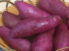 紫薯