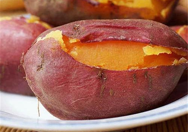 红薯增产种植技术